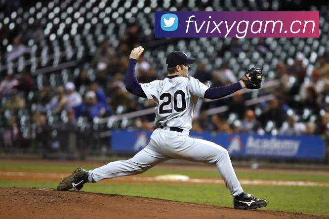 星空网官网登录入口服务体系